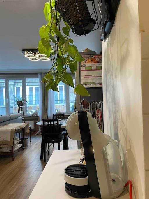 Superbe Appartement Dans Le Centre De Mons - Arivee Autonome Ngoại thất bức ảnh